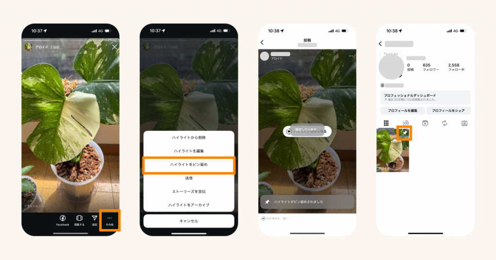 ハイライトをピン留めする方法