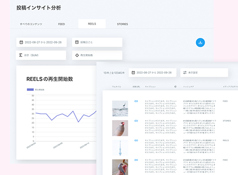 投稿インサイト分析画面スクリーンショット