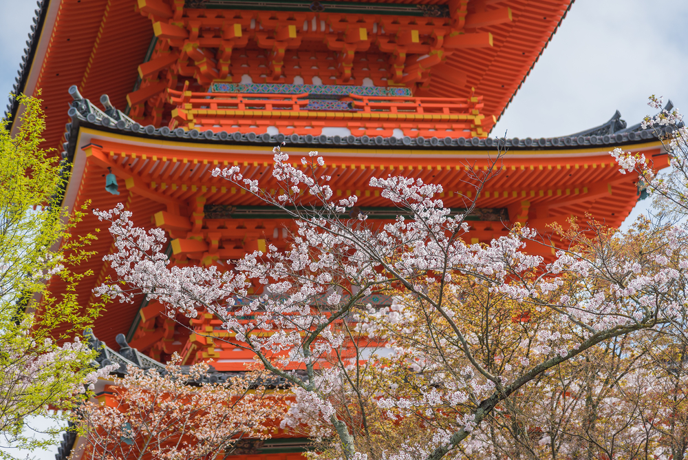 20160317_shutterstock_309386213
