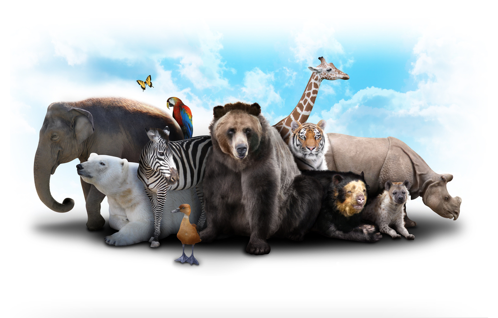 対決シリーズ 女子は動物園より水族館派が多い クチコミに見る動物園vs水族館 Snsコラム ホットリンク