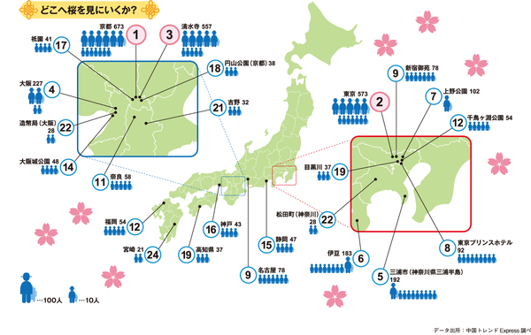 どこに桜を見に行く予定なのか